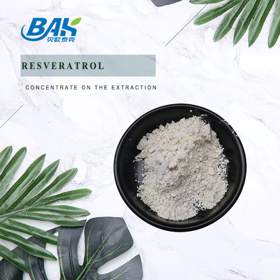 Ingrédients cosmétiques de Polygonum de Cuspidatum d'extrait de poudre naturelle de Resveratrol 10% - 98%