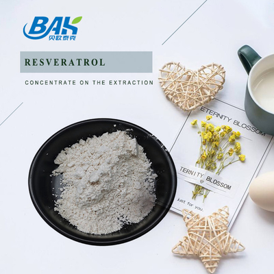 Ingrédients cosmétiques de Polygonum de Cuspidatum d'extrait de poudre naturelle de Resveratrol 10% - 98%