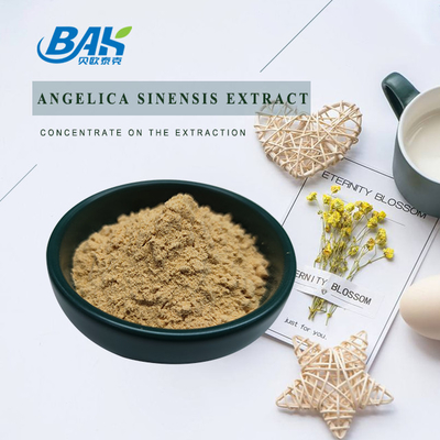 Fabrique professionnelle chinoise Dang Gui Angelica Sinensis Extrait de racine de Dong Quai Poudre d'extrait d'angelica Dahurica