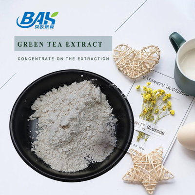 Extrait de thé vert en vrac EGCG CAS NO 989-51-5 Epigallocatéchine gallate 98% poudre blanche
