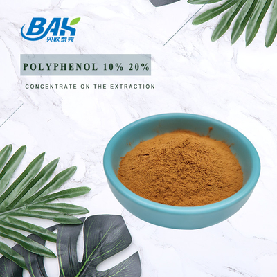 Ingrédients cosmétiques naturels d'extrait de mangoustan 10% - 90% Α-Mangostin Brown Yellow Powder