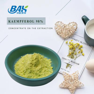 BAK Suppléments améliorant l' immunité de haute qualité Cas 520-18-3 Poudre de kaempférol 50% 90% 98%
