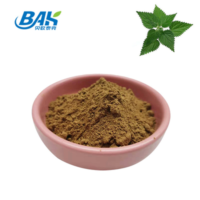 extrait de feuilles d'ortie de haute qualité 1,2% de silice Organique Extrait de racine d'ortie de qualité alimentaire Poudre