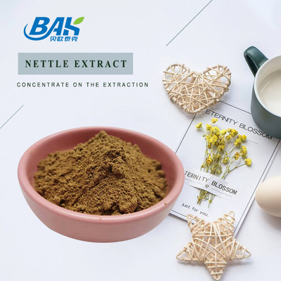 extrait de feuilles d'ortie de haute qualité 1,2% de silice Organique Extrait de racine d'ortie de qualité alimentaire Poudre