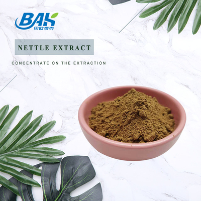 extrait de feuilles d'ortie de haute qualité 1,2% de silice Organique Extrait de racine d'ortie de qualité alimentaire Poudre