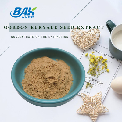 Supplément d'extrait de champignon biologique Halal 10:1 Poudre d'extrait de graines de Gordon Euryale