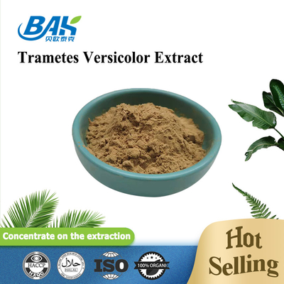 10% à 50% d'extrait de Trametes Versicolor en poudre
