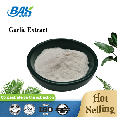 Extrait d'ail de haute qualité 1% 2% 3% poudre d'allicine en stock Extrait d'ail avec échantillons gratuits à vendre