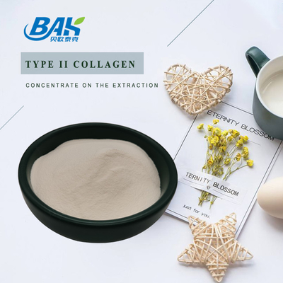 Poudre de protéines peptidiques 25% Extrait de cartilage de type II Poudre de collagène de qualité cosmétique