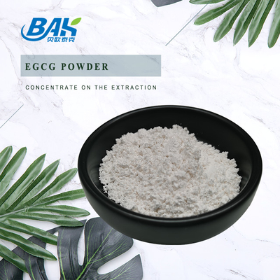 Extrait de thé vert en vrac EGCG CAS NO 989-51-5 Epigallocatéchine gallate 98% poudre blanche