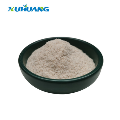 95% - 98% poudre de cosse de graine de psyllium fibre diététique en vrac poudre de cosse de psyllium