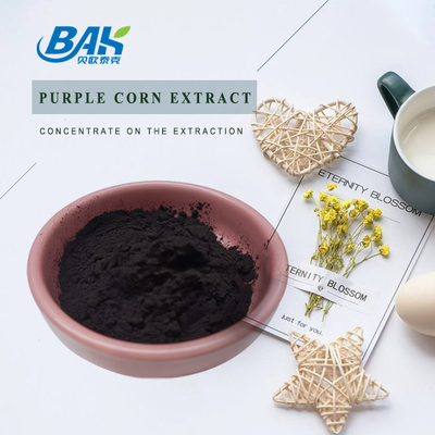 BAK Factory en gros Anthocyanine 35% Zea Mays extrait de maïs violet poudre violette foncée