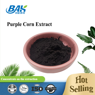 BAK Factory en gros Anthocyanine 35% Zea Mays extrait de maïs violet poudre violette foncée