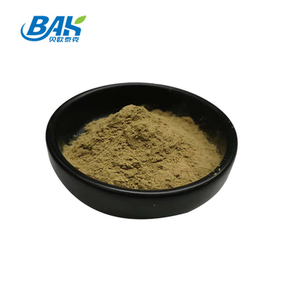 Fabrique en gros Extrait pur de menthe poivrée Suppléments améliorant l' immunité Menthe Haplocalyx Briq Brown Powde
