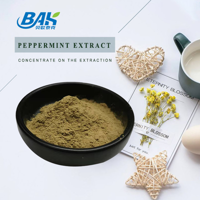 Fabrique en gros Extrait pur de menthe poivrée Suppléments améliorant l' immunité Menthe Haplocalyx Briq Brown Powde