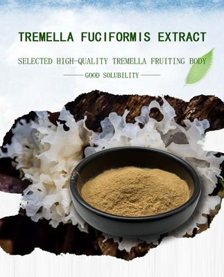 Supplément d'extrait de champignon de Tremella