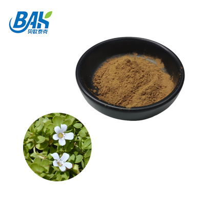 Poudre d'extrait de Herb Immune Enhancing Supplements 40% Bacopa Monnieri