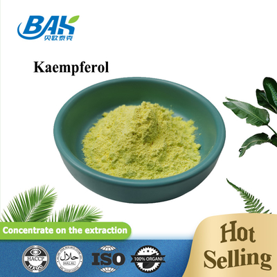 BAK Suppléments améliorant l' immunité de haute qualité Cas 520-18-3 Poudre de kaempférol 50% 90% 98%