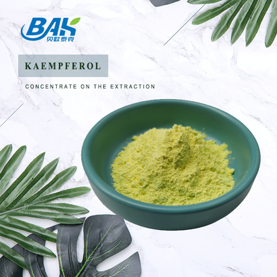 BAK Suppléments améliorant l' immunité de haute qualité Cas 520-18-3 Poudre de kaempférol 50% 90% 98%