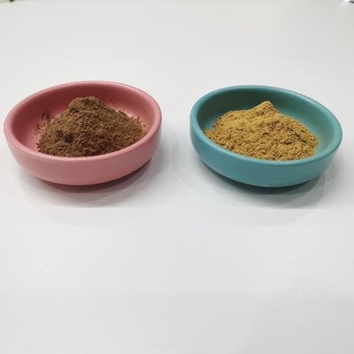Poudre de Brown jaune d'extrait de Ginkgo Biloba des lactones 6% de la flavone 24%