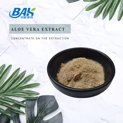 BAK Pure Extrait de Maca Organique en poudre Supplément de santé pour hommes
