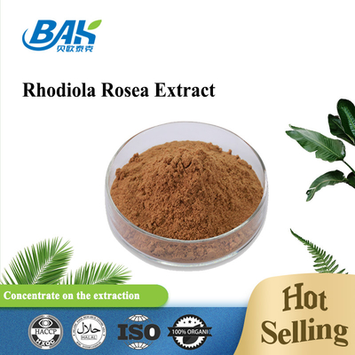Supplément de santé biologique pour hommes Rosavin 1% -10% Rhodiola Rosea L Extrait de poudre brune rouge
