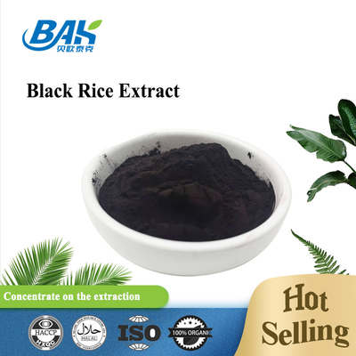 Extrait de riz noir anthocyanidines 25% poudre violette foncée