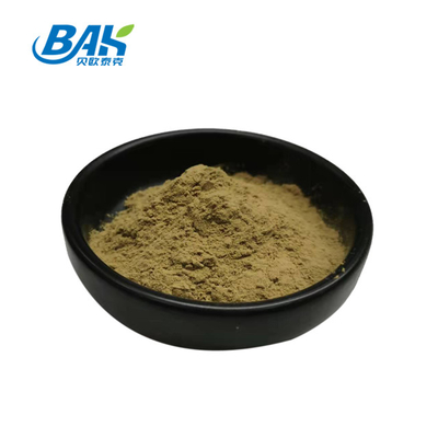 FORCE UV de supplément d'extrait de 70% Beta Glucan Grifola Frondosa Mushroom