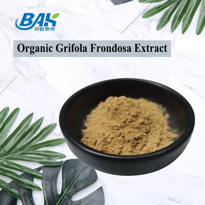 FORCE UV de supplément d'extrait de 70% Beta Glucan Grifola Frondosa Mushroom