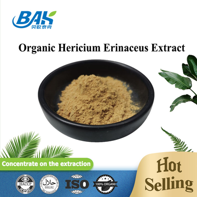 VIS Hericium Erinaceus Mushroom Extract UV