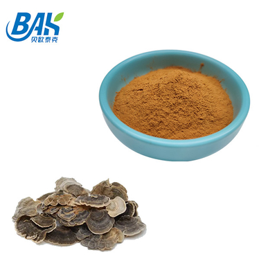 10%-50% poudre jaune de Brown de champignon de Coriolous de supplément Versicolor d'extrait