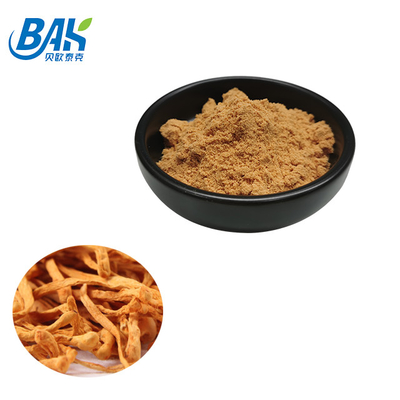 Supplément de protection de foie d'extrait de Cordyceps Militaris poudre de 1% - de 6% Cordycepin