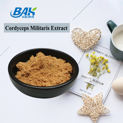 Supplément de protection de foie d'extrait de Cordyceps Militaris poudre de 1% - de 6% Cordycepin