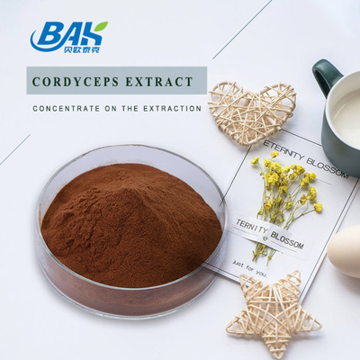 Le supplément Cordyceps de la santé des hommes de Cordycepin 5% 10% 20% extraient la poudre de Brown