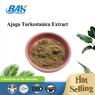 Extrait 2%-20% de Turkestanica d'Ajuga