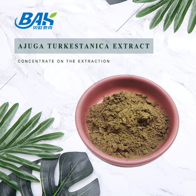 Extrait 2%-20% de Turkestanica d'Ajuga