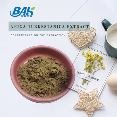 Extrait 2%-20% de Turkestanica d'Ajuga