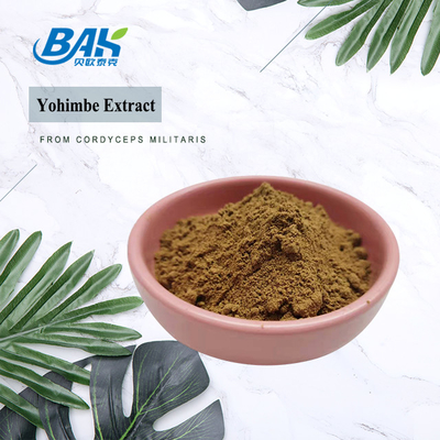5%-98% passage 80 Mesh Corynanthe Yohimbe L poudre jaune de l'extrait 100% de Yohimbe de Brown