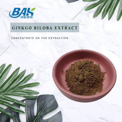 CAS 90045-36-6 Extrait de ginkgo biloba Glycosides flavoniques 24% Terpéniques Lactories 6%