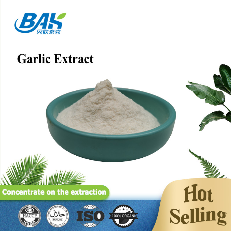 Extrait d'ail de haute qualité 1% 2% 3% poudre d'allicine en stock Extrait d'ail avec échantillons gratuits à vendre