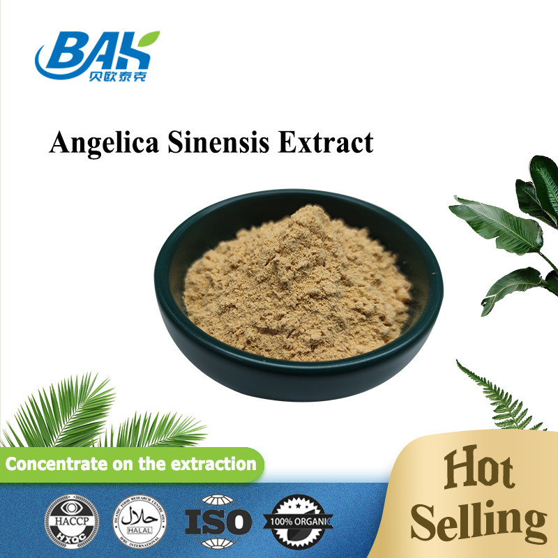 Fabrique professionnelle chinoise Dang Gui Angelica Sinensis Extrait de racine de Dong Quai Poudre d'extrait d'angelica Dahurica