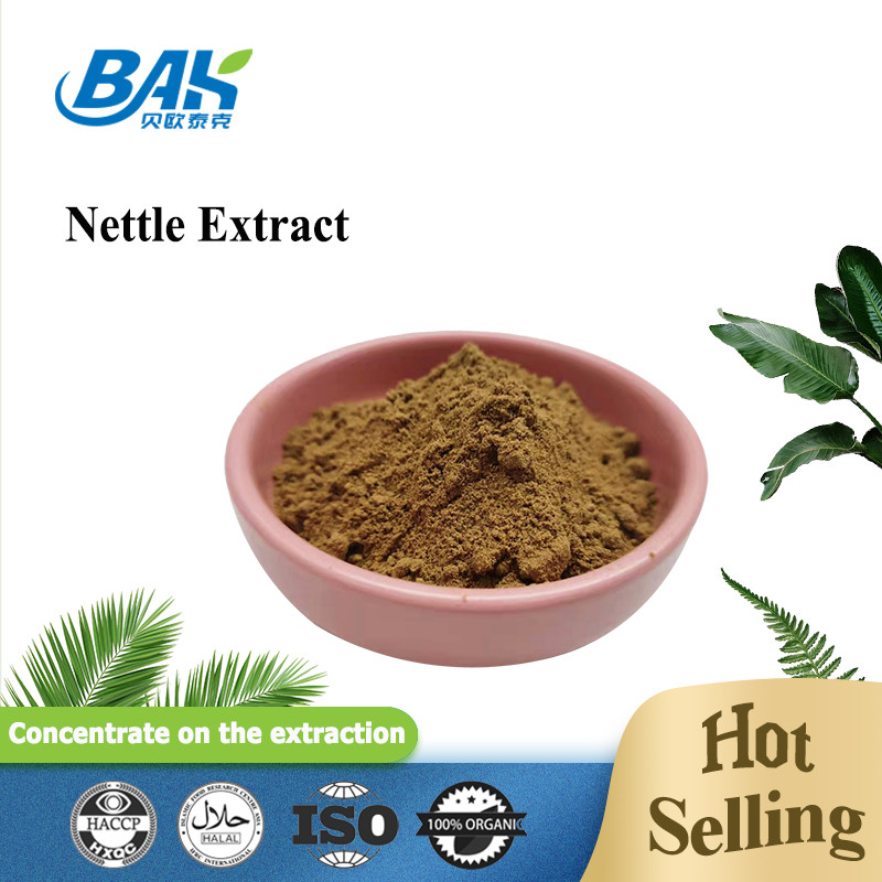 extrait de feuilles d'ortie de haute qualité 1,2% de silice Organique Extrait de racine d'ortie de qualité alimentaire Poudre
