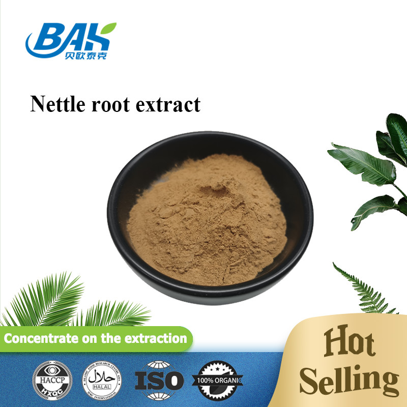 Vente à chaud HACCP Suppléments d'amélioration immunitaire Extrait de racine d'ortie en poudre CAS 83-46-5
