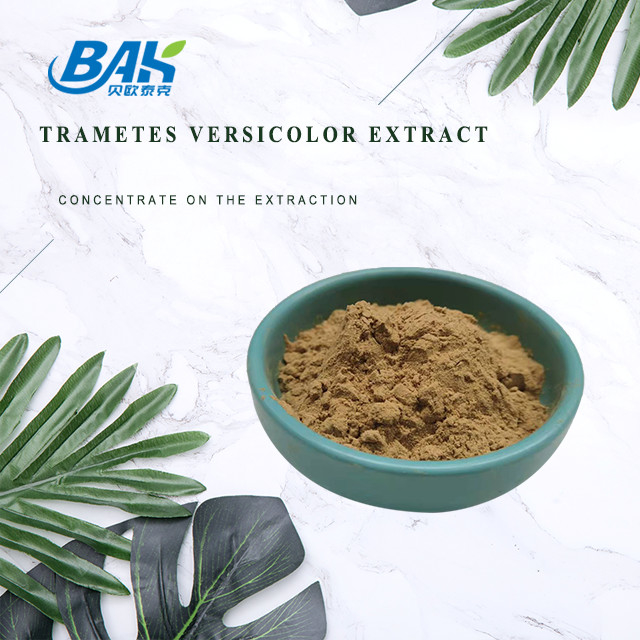 10% à 50% d'extrait de Trametes Versicolor en poudre