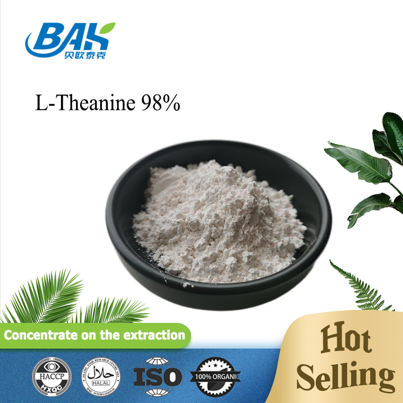 CAS NO 3081-61-6 Extrait de plantes naturelles pour une alimentation saine Extrait de thé vert en poudre Théanine 98% en poudre