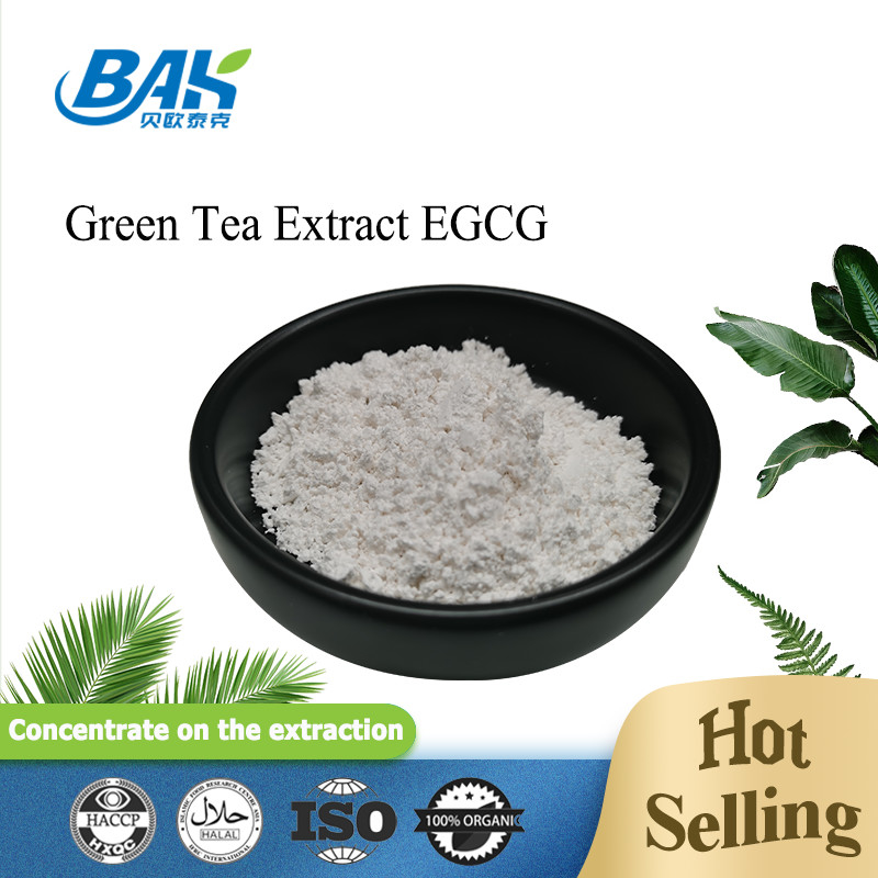 Extrait de thé vert en vrac EGCG CAS NO 989-51-5 Epigallocatéchine gallate 98% poudre blanche