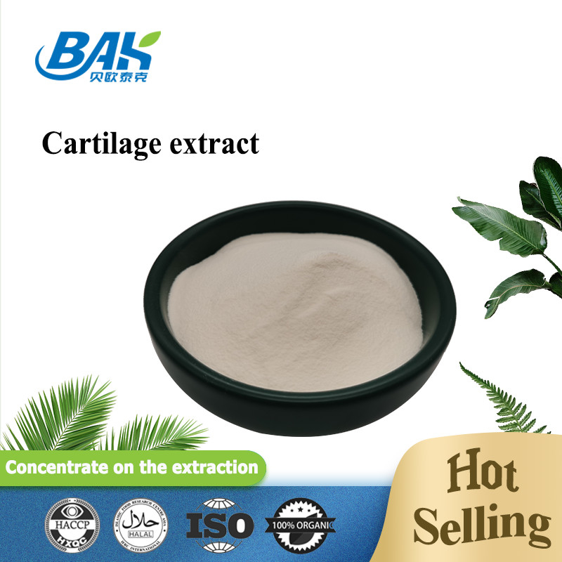 25% de collagène de type II d'extrait de cartilage de poudre de protéine peptidique