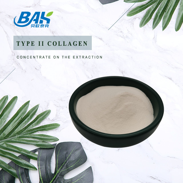 Poudre de protéines peptidiques 25% Extrait de cartilage de type II Poudre de collagène de qualité cosmétique
