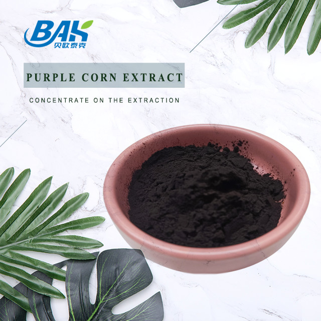 BAK Factory en gros Anthocyanine 35% Zea Mays extrait de maïs violet poudre violette foncée