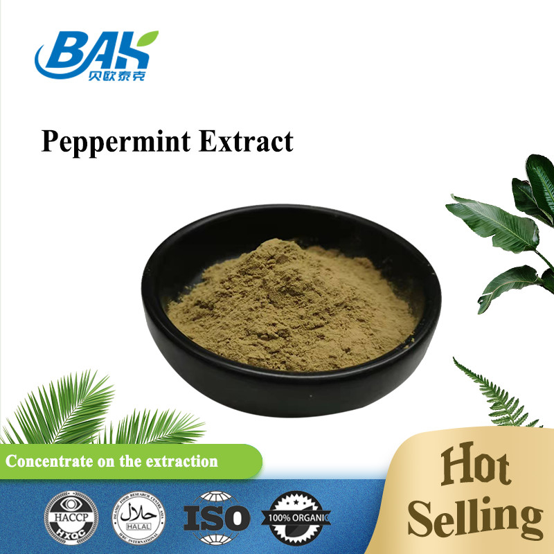 Fabrique en gros Extrait pur de menthe poivrée Suppléments améliorant l' immunité Menthe Haplocalyx Briq Brown Powde